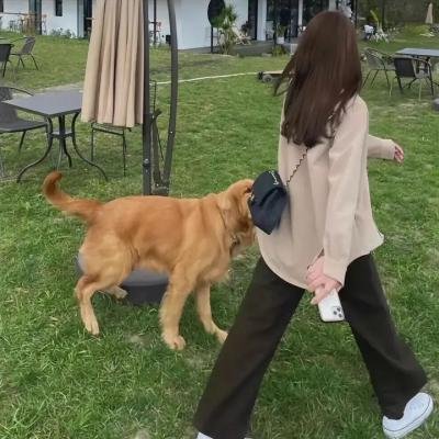 超级伙伴